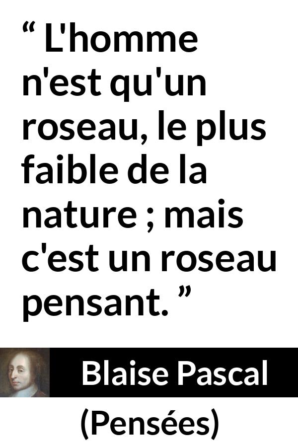 Citation de Blaise Pascal sur la réflexion tirée de Pensées - L'homme n'est qu'un roseau, le plus faible de la nature ; mais c'est un roseau pensant.