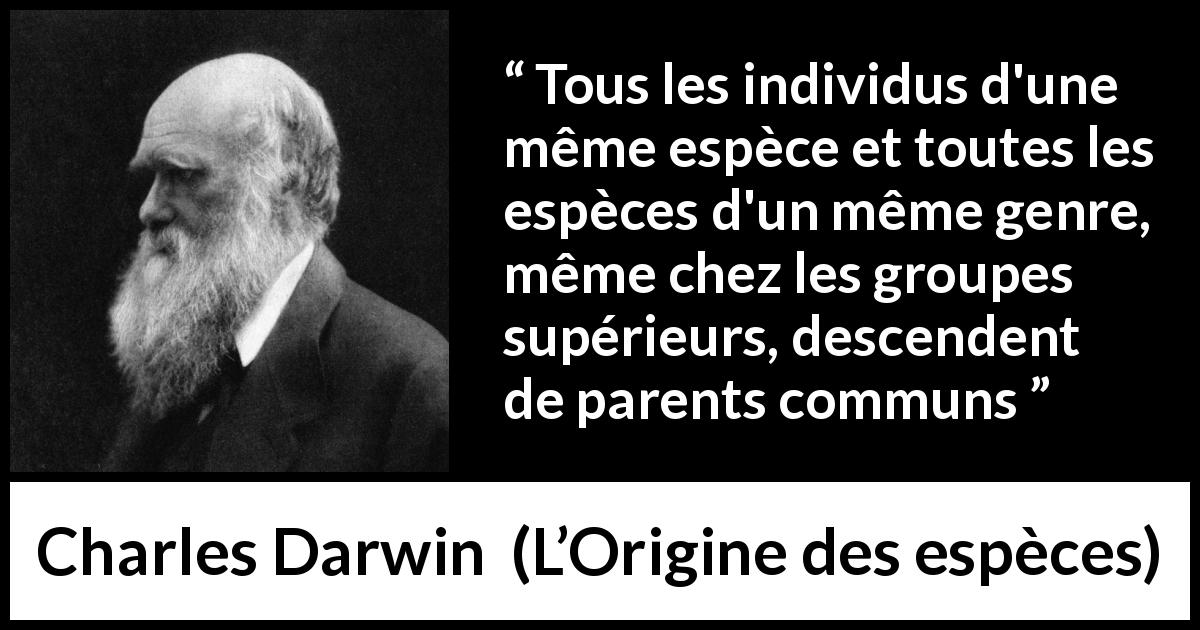 Citation de Charles Darwin sur l'évolution tirée de L’Origine des espèces - Tous les individus d'une même espèce et toutes les espèces d'un même genre, même chez les groupes supérieurs, descendent de parents communs
