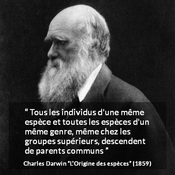 Citation de Charles Darwin sur l'évolution tirée de L’Origine des espèces - Tous les individus d'une même espèce et toutes les espèces d'un même genre, même chez les groupes supérieurs, descendent de parents communs