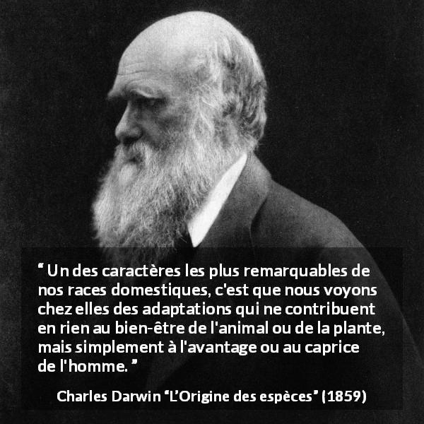 Citation de Charles Darwin sur l'animaux tirée de L’Origine des espèces - Un des caractères les plus remarquables de nos races domestiques, c'est que nous voyons chez elles des adaptations qui ne contribuent en rien au bien-être de l'animal ou de la plante, mais simplement à l'avantage ou au caprice de l'homme.