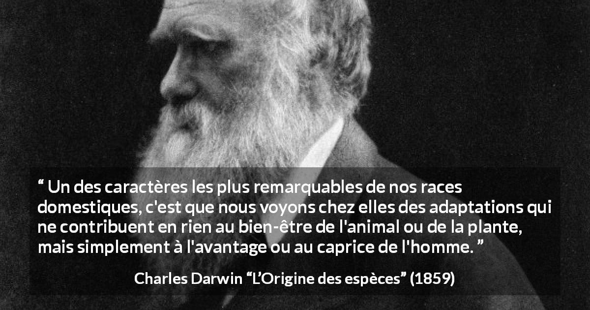Citation de Charles Darwin sur l'animaux tirée de L’Origine des espèces - Un des caractères les plus remarquables de nos races domestiques, c'est que nous voyons chez elles des adaptations qui ne contribuent en rien au bien-être de l'animal ou de la plante, mais simplement à l'avantage ou au caprice de l'homme.