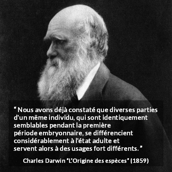 Citation de Charles Darwin sur la différenciation tirée de L’Origine des espèces - Nous avons déjà constaté que diverses parties d'un même individu, qui sont identiquement semblables pendant la première période embryonnaire, se différencient considérablement à l'état adulte et servent alors à des usages fort différents.