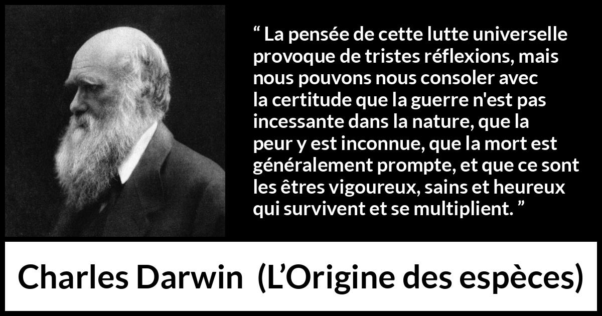 Citation de Charles Darwin sur la nature tirée de L’Origine des espèces - La pensée de cette lutte universelle provoque de tristes réflexions, mais nous pouvons nous consoler avec la certitude que la guerre n'est pas incessante dans la nature, que la peur y est inconnue, que la mort est généralement prompte, et que ce sont les êtres vigoureux, sains et heureux qui survivent et se multiplient.