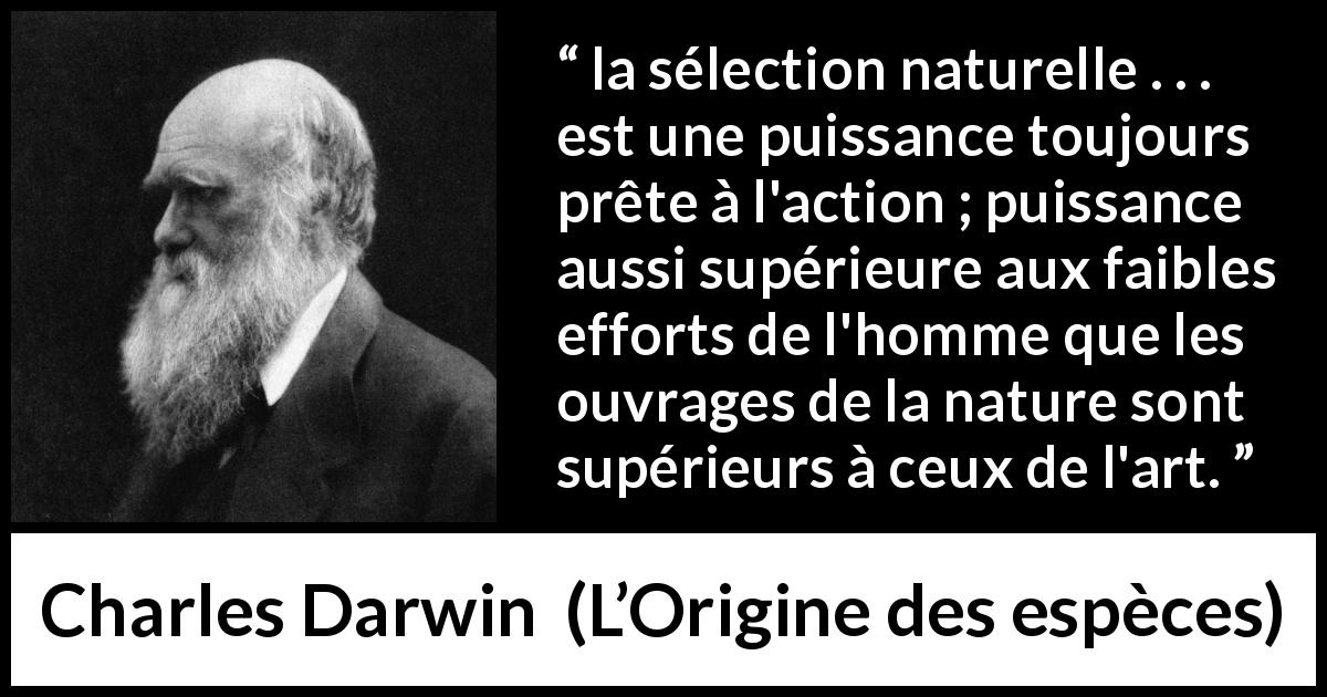 Citation de Charles Darwin sur la nature tirée de L’Origine des espèces - la sélection naturelle . . . est une puissance toujours prête à l'action ; puissance aussi supérieure aux faibles efforts de l'homme que les ouvrages de la nature sont supérieurs à ceux de l'art.