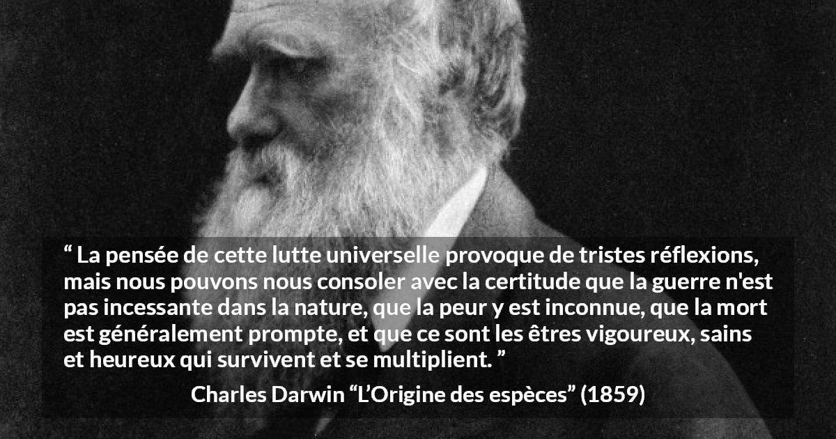 Citation de Charles Darwin sur la nature tirée de L’Origine des espèces - La pensée de cette lutte universelle provoque de tristes réflexions, mais nous pouvons nous consoler avec la certitude que la guerre n'est pas incessante dans la nature, que la peur y est inconnue, que la mort est généralement prompte, et que ce sont les êtres vigoureux, sains et heureux qui survivent et se multiplient.