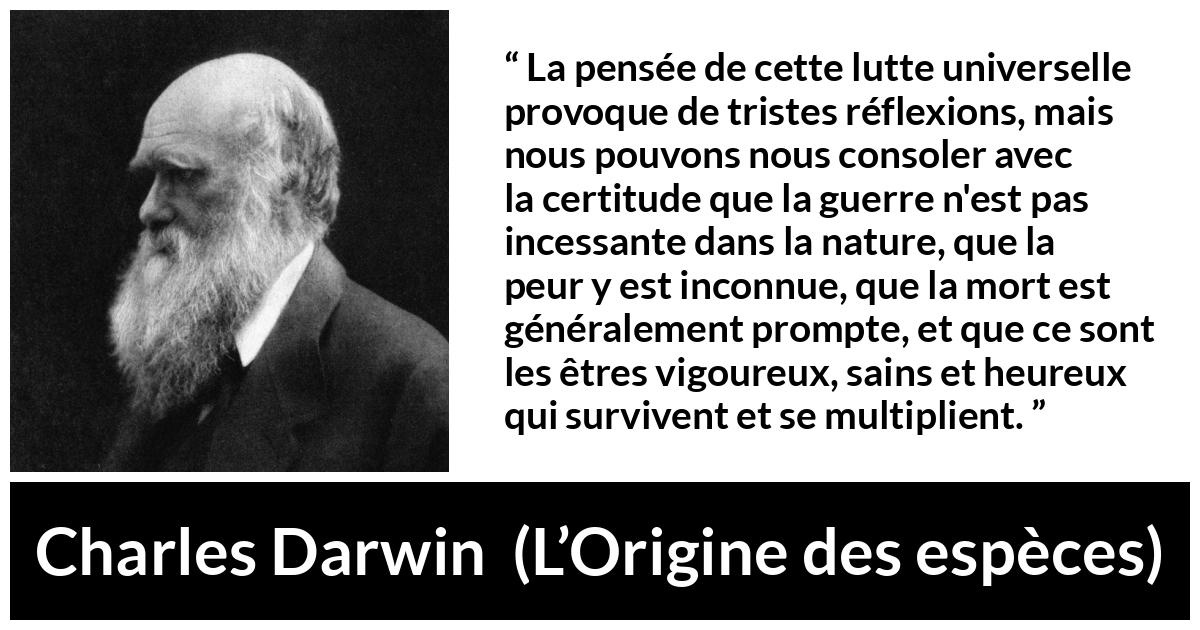 Citation de Charles Darwin sur la nature tirée de L’Origine des espèces - La pensée de cette lutte universelle provoque de tristes réflexions, mais nous pouvons nous consoler avec la certitude que la guerre n'est pas incessante dans la nature, que la peur y est inconnue, que la mort est généralement prompte, et que ce sont les êtres vigoureux, sains et heureux qui survivent et se multiplient.