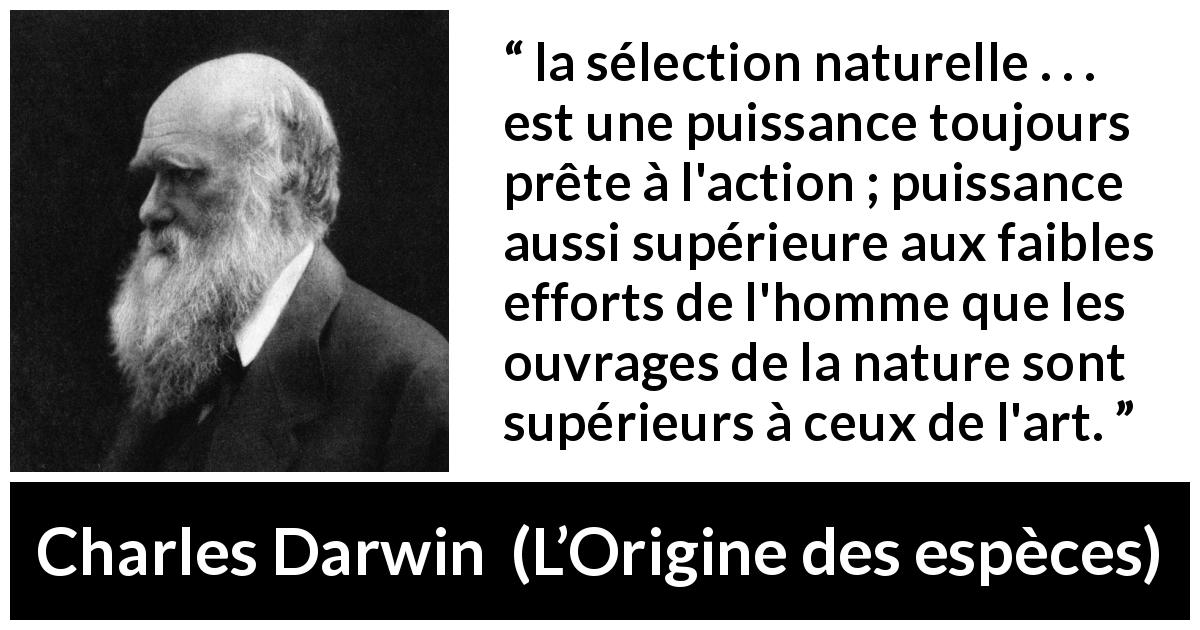 Citation de Charles Darwin sur la nature tirée de L’Origine des espèces - la sélection naturelle . . . est une puissance toujours prête à l'action ; puissance aussi supérieure aux faibles efforts de l'homme que les ouvrages de la nature sont supérieurs à ceux de l'art.