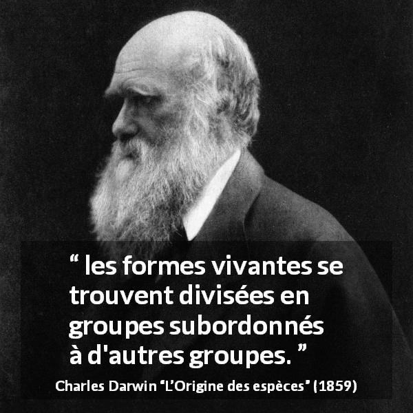 Citation de Charles Darwin sur la vie tirée de L’Origine des espèces - les formes vivantes se trouvent divisées en groupes subordonnés à d'autres groupes.