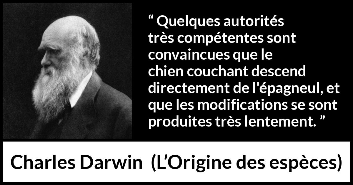 Citation de Charles Darwin sur le chien tirée de L’Origine des espèces - Quelques autorités très compétentes sont convaincues que le chien couchant descend directement de l'épagneul, et que les modifications se sont produites très lentement.