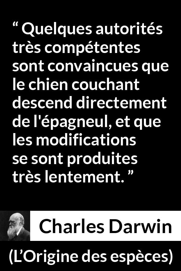 Citation de Charles Darwin sur le chien tirée de L’Origine des espèces - Quelques autorités très compétentes sont convaincues que le chien couchant descend directement de l'épagneul, et que les modifications se sont produites très lentement.