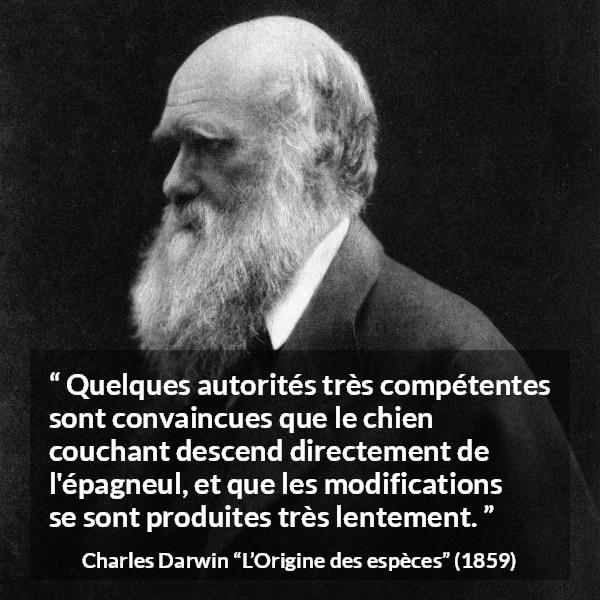 Citation de Charles Darwin sur le chien tirée de L’Origine des espèces - Quelques autorités très compétentes sont convaincues que le chien couchant descend directement de l'épagneul, et que les modifications se sont produites très lentement.