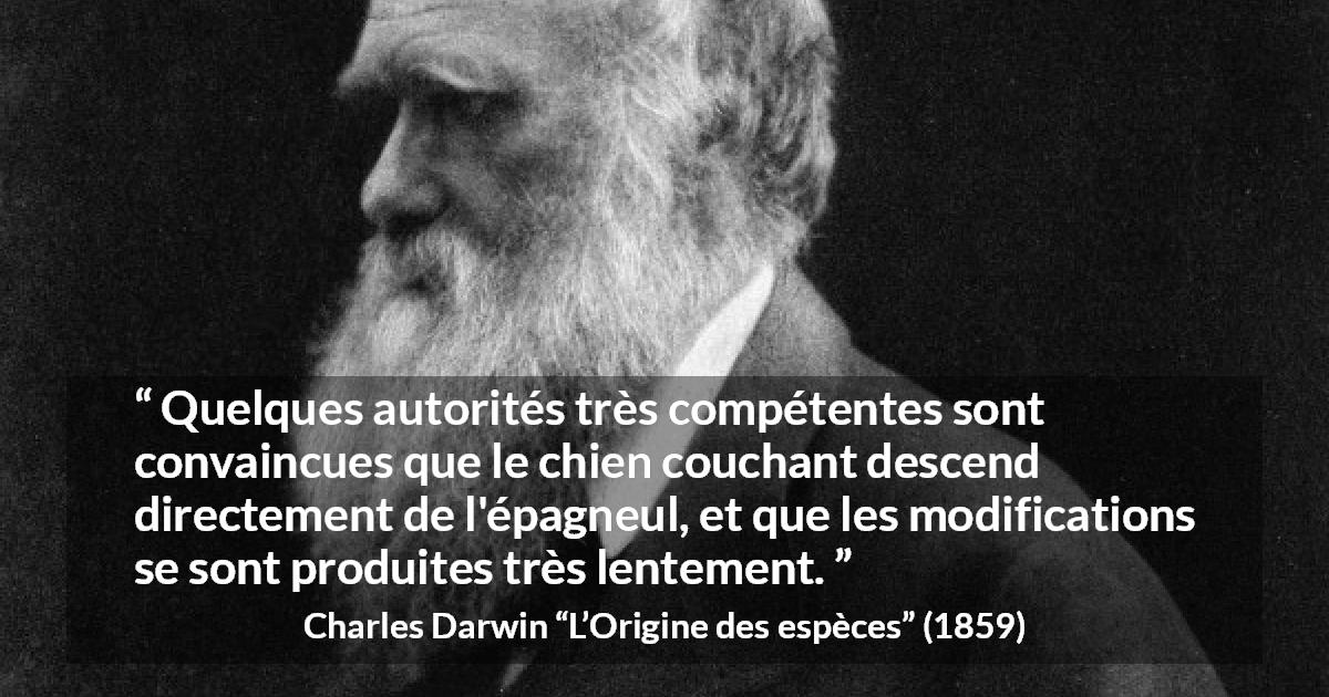Citation de Charles Darwin sur le chien tirée de L’Origine des espèces - Quelques autorités très compétentes sont convaincues que le chien couchant descend directement de l'épagneul, et que les modifications se sont produites très lentement.