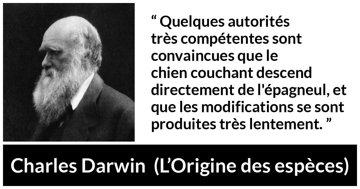 Citation de Charles Darwin sur le chien tirée de L’Origine des espèces - Quelques autorités très compétentes sont convaincues que le chien couchant descend directement de l'épagneul, et que les modifications se sont produites très lentement.