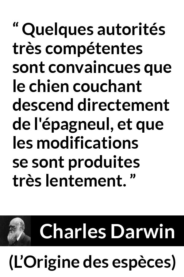Citation de Charles Darwin sur le chien tirée de L’Origine des espèces - Quelques autorités très compétentes sont convaincues que le chien couchant descend directement de l'épagneul, et que les modifications se sont produites très lentement.