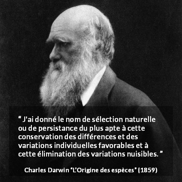 Citation de Charles Darwin sur les aptitudes tirée de L’Origine des espèces - J'ai donné le nom de sélection naturelle ou de persistance du plus apte à cette conservation des différences et des variations individuelles favorables et à cette élimination des variations nuisibles.