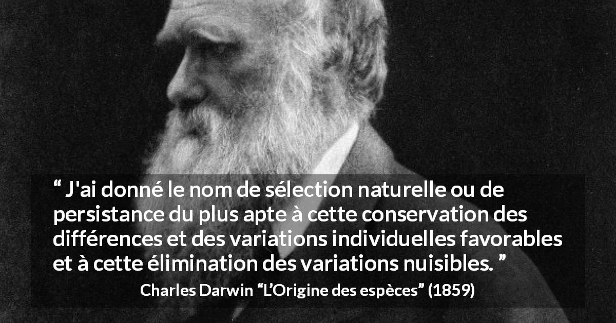 Citation de Charles Darwin sur les aptitudes tirée de L’Origine des espèces - J'ai donné le nom de sélection naturelle ou de persistance du plus apte à cette conservation des différences et des variations individuelles favorables et à cette élimination des variations nuisibles.