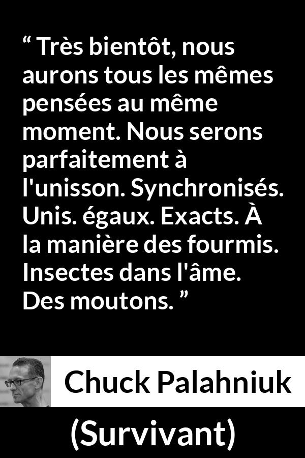 Citation de Chuck Palahniuk sur l'égalité tirée de Survivant - Très bientôt, nous aurons tous les mêmes pensées au même moment. Nous serons parfaitement à l'unisson. Synchronisés. Unis. égaux. Exacts. À la manière des fourmis. Insectes dans l'âme. Des moutons.