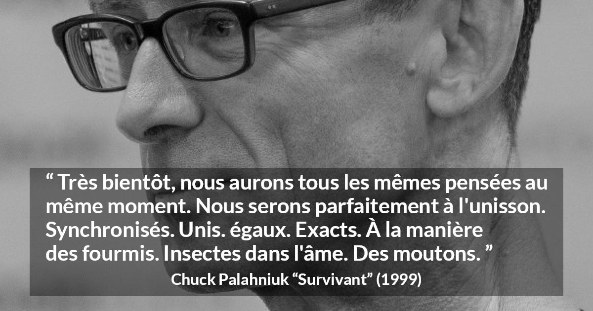 Citation de Chuck Palahniuk sur l'égalité tirée de Survivant - Très bientôt, nous aurons tous les mêmes pensées au même moment. Nous serons parfaitement à l'unisson. Synchronisés. Unis. égaux. Exacts. À la manière des fourmis. Insectes dans l'âme. Des moutons.