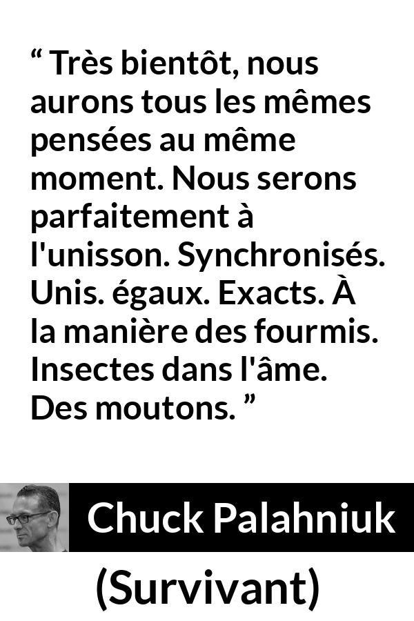 Citation de Chuck Palahniuk sur l'égalité tirée de Survivant - Très bientôt, nous aurons tous les mêmes pensées au même moment. Nous serons parfaitement à l'unisson. Synchronisés. Unis. égaux. Exacts. À la manière des fourmis. Insectes dans l'âme. Des moutons.