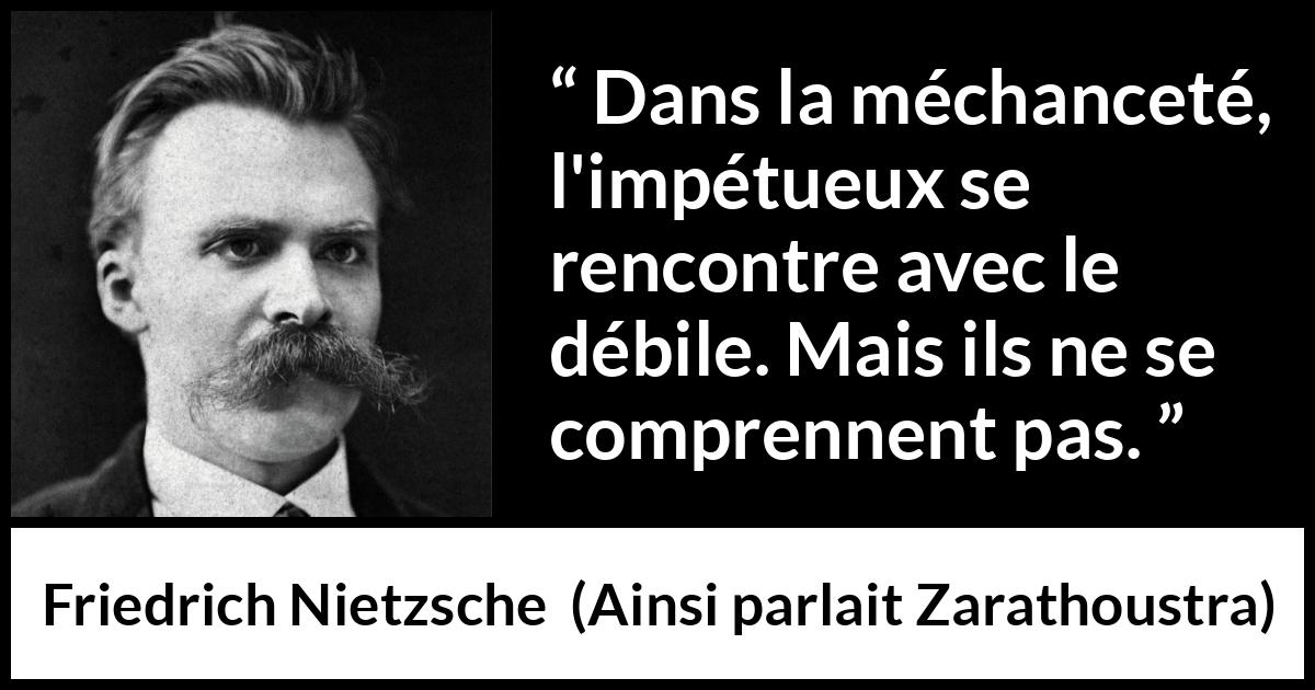 Citation de Friedrich Nietzsche sur la stupidité tirée d'Ainsi parlait Zarathoustra - Dans la méchanceté, l'impétueux se rencontre avec le débile. Mais ils ne se comprennent pas.