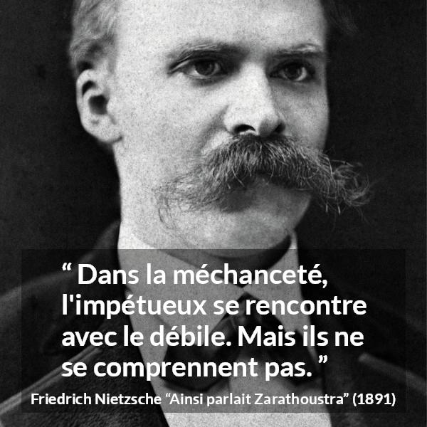 Citation de Friedrich Nietzsche sur la stupidité tirée d'Ainsi parlait Zarathoustra - Dans la méchanceté, l'impétueux se rencontre avec le débile. Mais ils ne se comprennent pas.
