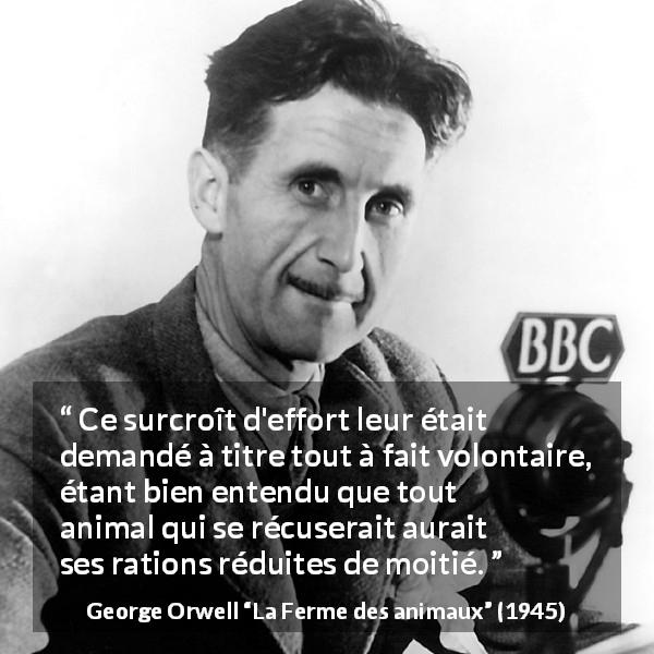 Citation de George Orwell sur le travail tirée de La Ferme des animaux - Ce surcroît d'effort leur était demandé à titre tout à fait volontaire, étant bien entendu que tout animal qui se récuserait aurait ses rations réduites de moitié.