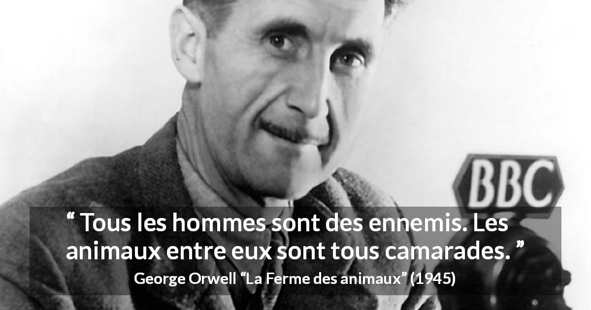 Citation de George Orwell sur les hommes tirée de La Ferme des animaux - Tous les hommes sont des ennemis. Les animaux entre eux sont tous camarades.