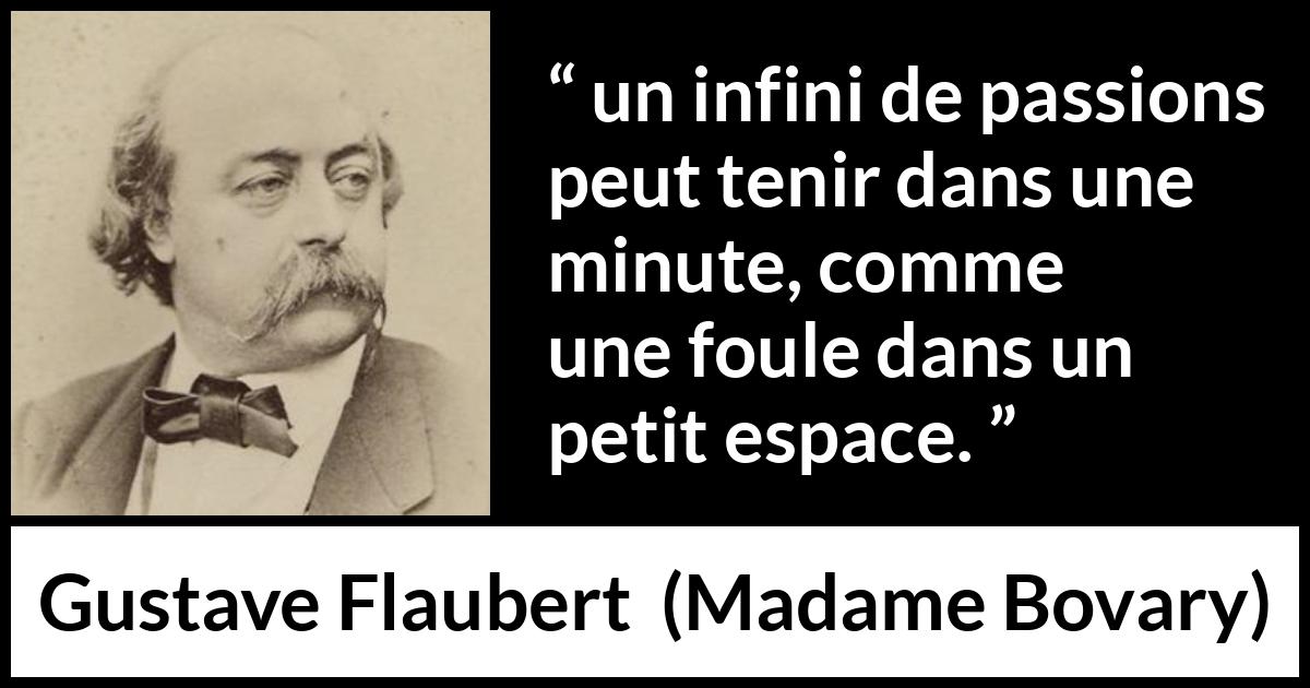 Citation de Gustave Flaubert sur la passion tirée de Madame Bovary - un infini de passions peut tenir dans une minute, comme une foule dans un petit espace.