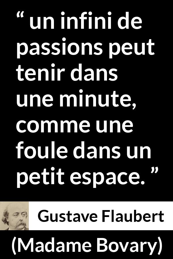 Citation de Gustave Flaubert sur la passion tirée de Madame Bovary - un infini de passions peut tenir dans une minute, comme une foule dans un petit espace.