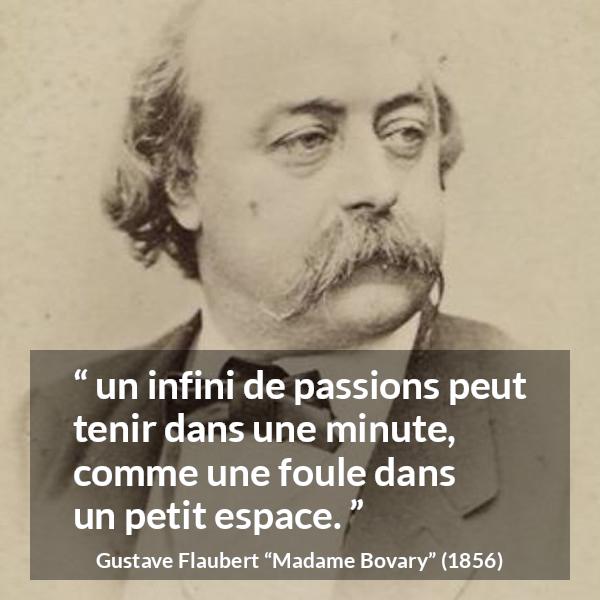 Citation de Gustave Flaubert sur la passion tirée de Madame Bovary - un infini de passions peut tenir dans une minute, comme une foule dans un petit espace.