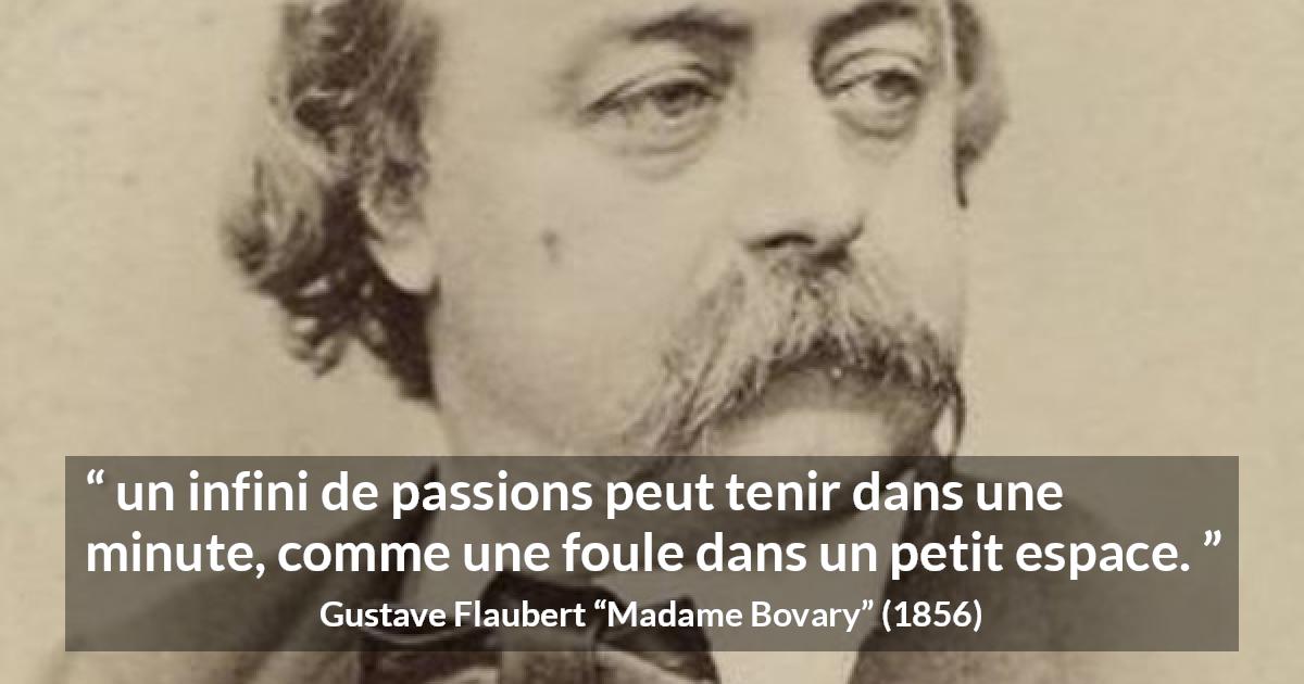 Citation de Gustave Flaubert sur la passion tirée de Madame Bovary - un infini de passions peut tenir dans une minute, comme une foule dans un petit espace.