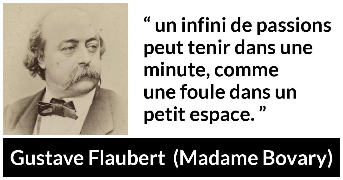 Citation de Gustave Flaubert sur la passion tirée de Madame Bovary - un infini de passions peut tenir dans une minute, comme une foule dans un petit espace.