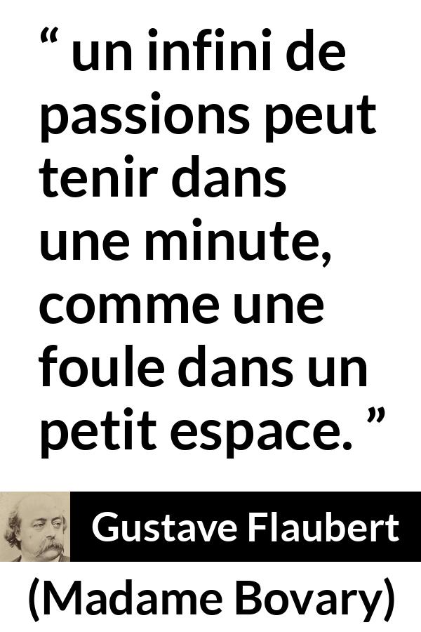 Citation de Gustave Flaubert sur la passion tirée de Madame Bovary - un infini de passions peut tenir dans une minute, comme une foule dans un petit espace.