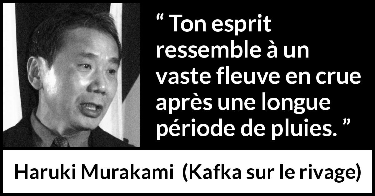 Citation de Haruki Murakami sur l'esprit tirée de Kafka sur le rivage - Ton esprit ressemble à un vaste fleuve en crue après une longue période de pluies.