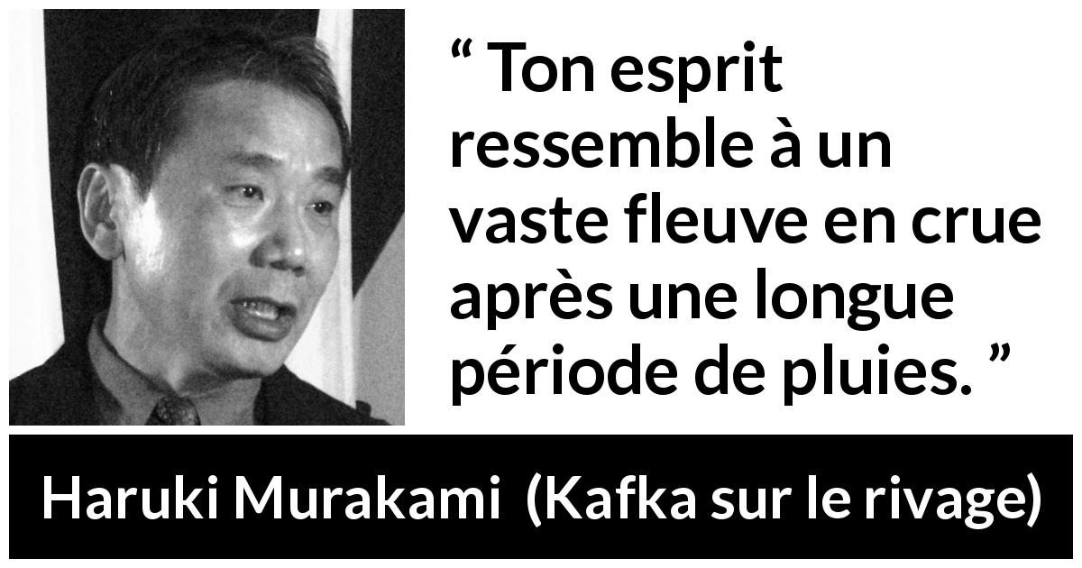 Citation de Haruki Murakami sur l'esprit tirée de Kafka sur le rivage - Ton esprit ressemble à un vaste fleuve en crue après une longue période de pluies.