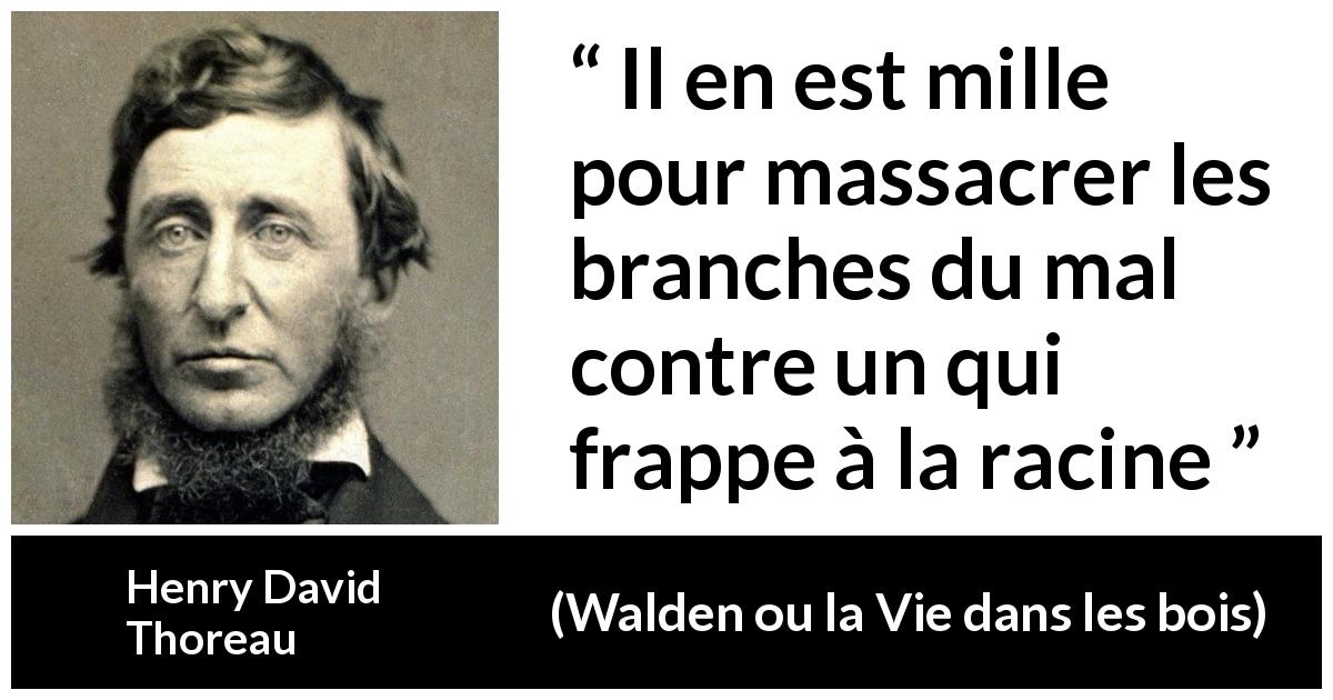 Citation de Henry David Thoreau sur le mal tirée de Walden ou la Vie dans les bois - Il en est mille pour massacrer les branches du mal contre un qui frappe à la racine