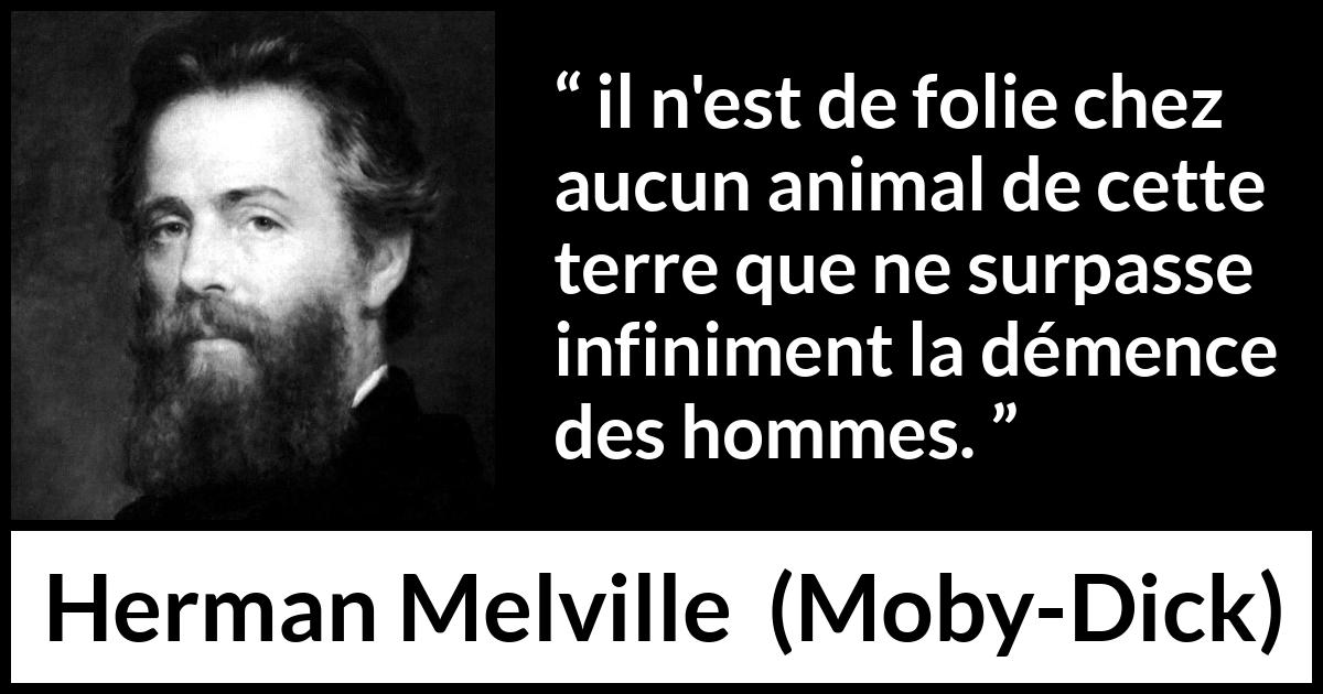 Citation de Herman Melville sur l'animal tirée de Moby-Dick - il n'est de folie chez aucun animal de cette terre que ne surpasse infiniment la démence des hommes.
