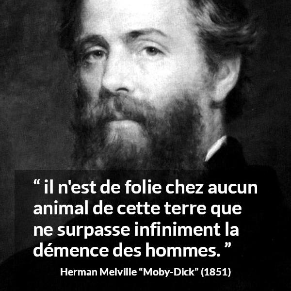 Citation de Herman Melville sur l'animal tirée de Moby-Dick - il n'est de folie chez aucun animal de cette terre que ne surpasse infiniment la démence des hommes.