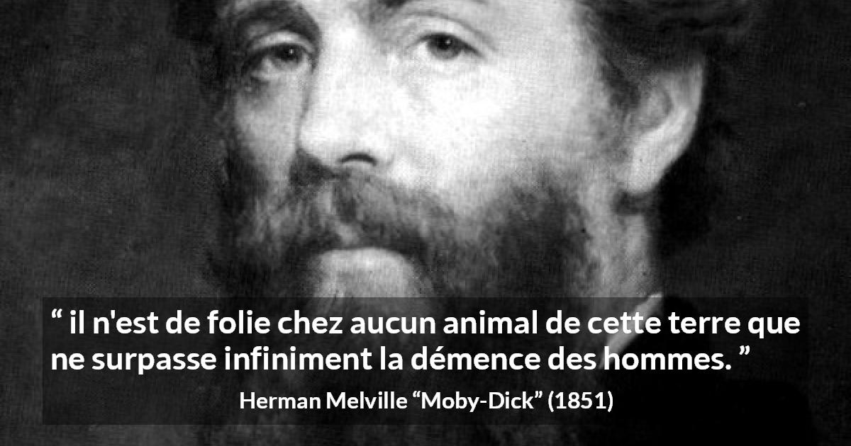Citation de Herman Melville sur l'animal tirée de Moby-Dick - il n'est de folie chez aucun animal de cette terre que ne surpasse infiniment la démence des hommes.
