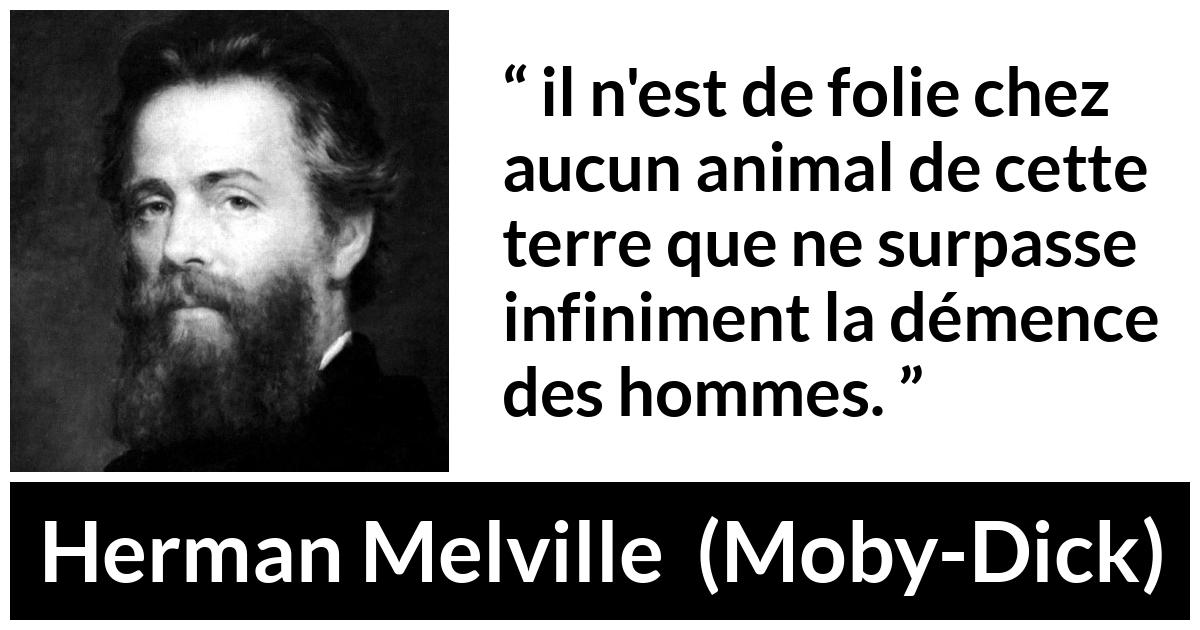 Citation de Herman Melville sur l'animal tirée de Moby-Dick - il n'est de folie chez aucun animal de cette terre que ne surpasse infiniment la démence des hommes.