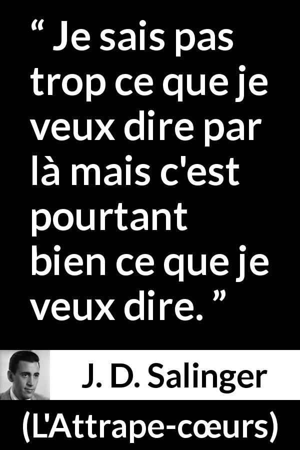 Citation de J. D. Salinger sur les sens tirée de L'Attrape-cœurs - Je sais pas trop ce que je veux dire par là mais c'est pourtant bien ce que je veux dire.