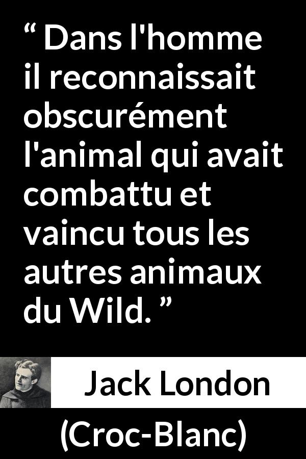 Citation de Jack London sur l'animal tirée de Croc-Blanc - Dans l'homme il reconnaissait obscurément l'animal qui avait combattu et vaincu tous les autres animaux du Wild.