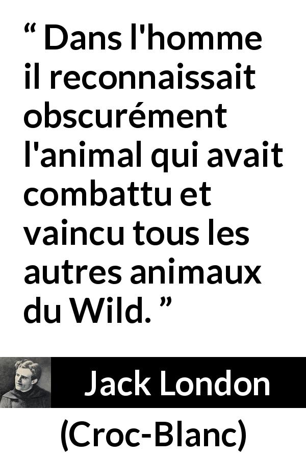 Citation de Jack London sur l'animal tirée de Croc-Blanc - Dans l'homme il reconnaissait obscurément l'animal qui avait combattu et vaincu tous les autres animaux du Wild.