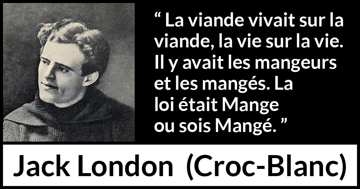 Citation de Jack London sur la nature tirée de Croc-Blanc - La viande vivait sur la viande, la vie sur la vie. Il y avait les mangeurs et les mangés. La loi était Mange ou sois Mangé.