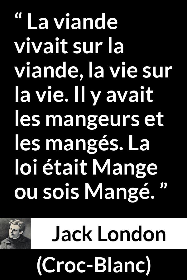Citation de Jack London sur la nature tirée de Croc-Blanc - La viande vivait sur la viande, la vie sur la vie. Il y avait les mangeurs et les mangés. La loi était Mange ou sois Mangé.