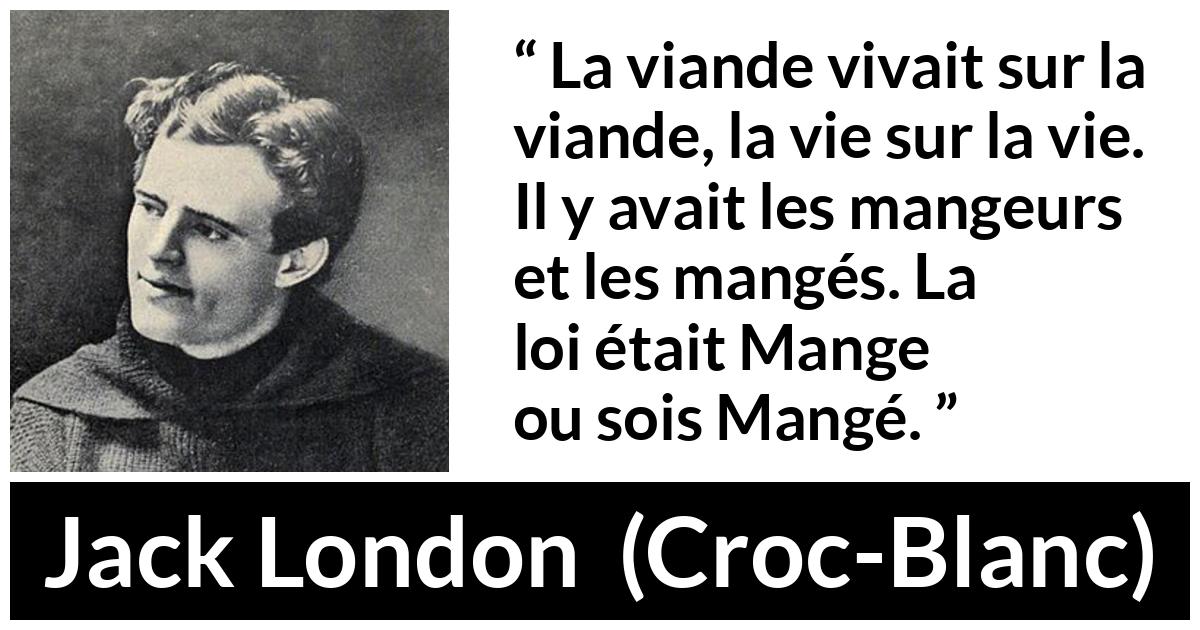 Citation de Jack London sur la nature tirée de Croc-Blanc - La viande vivait sur la viande, la vie sur la vie. Il y avait les mangeurs et les mangés. La loi était Mange ou sois Mangé.