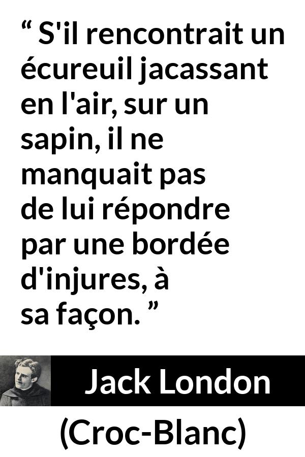 Citation de Jack London sur la nature tirée de Croc-Blanc - S'il rencontrait un écureuil jacassant en l'air, sur un sapin, il ne manquait pas de lui répondre par une bordée d'injures, à sa façon.
