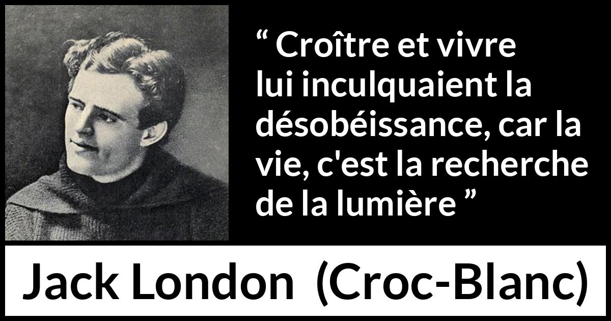 Citation de Jack London sur la vie tirée de Croc-Blanc - Croître et vivre lui inculquaient la désobéissance, car la vie, c'est la recherche de la lumière
