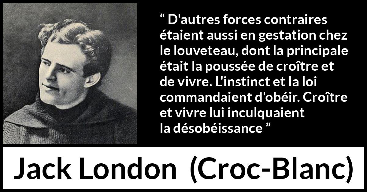 Citation de Jack London sur la vie tirée de Croc-Blanc - D'autres forces contraires étaient aussi en gestation chez le louveteau, dont la principale était la poussée de croître et de vivre. L'instinct et la loi commandaient d'obéir. Croître et vivre lui inculquaient la désobéissance