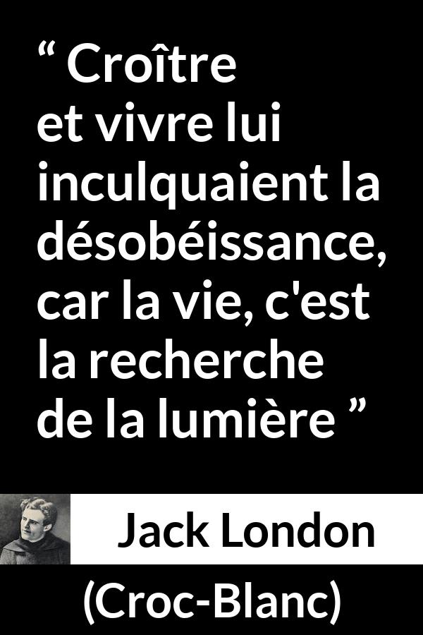 Citation de Jack London sur la vie tirée de Croc-Blanc - Croître et vivre lui inculquaient la désobéissance, car la vie, c'est la recherche de la lumière